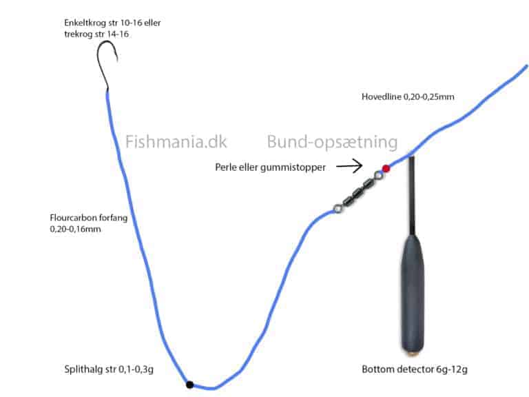 Bundfiskeri med bottom detector – Se hvordan du gør her!