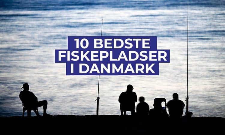 10 bedste fiskepladser i Danmark 2023